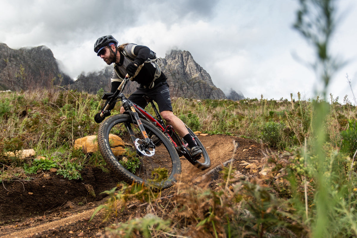 Hammerhead closes $4.1M Seed Plus Round